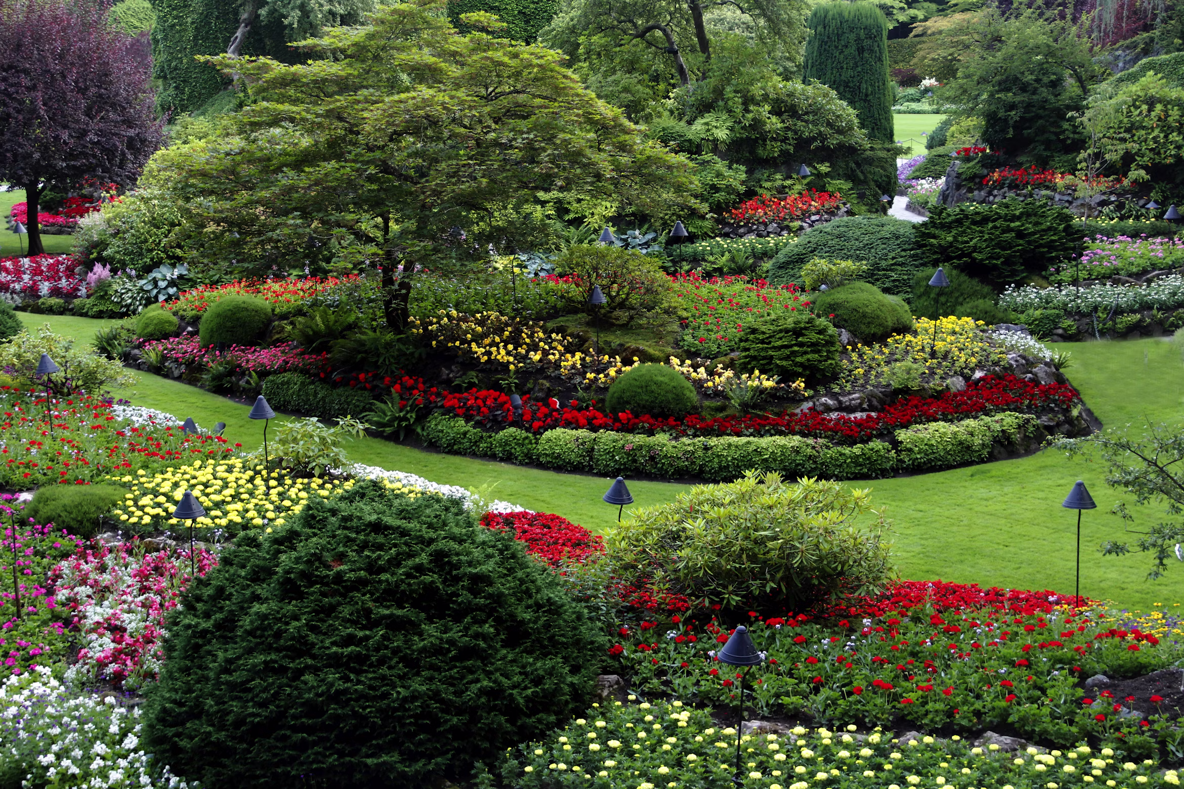 Landscape Design & Installation